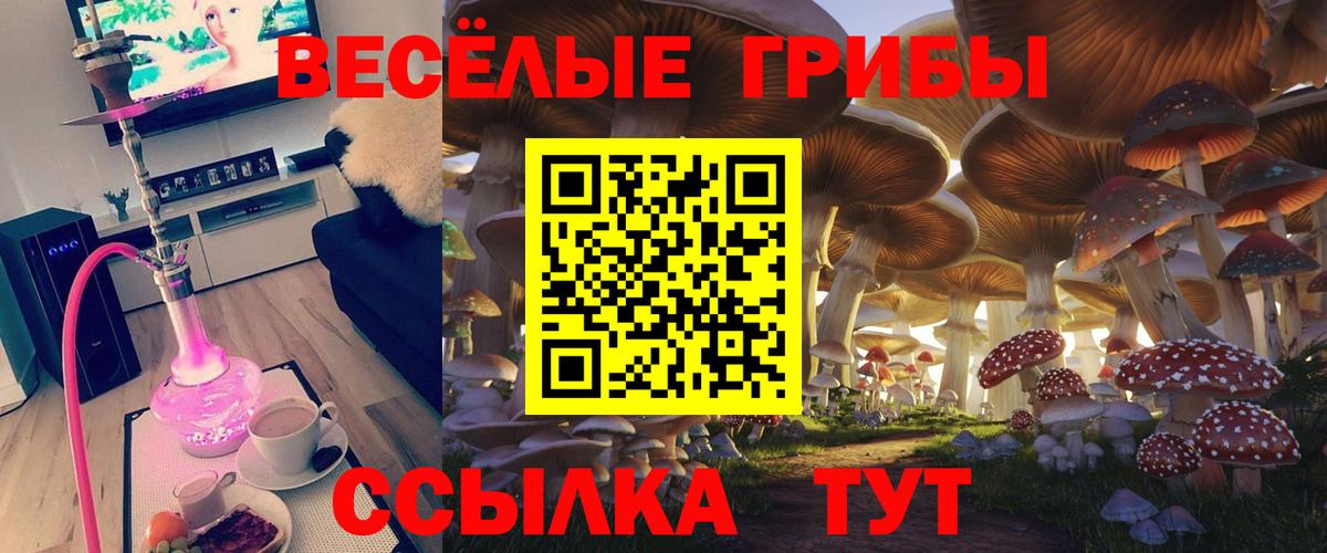 Галлюциногенные грибы мицелий  Вход с VPN  Ликино-Дулёво 